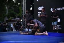 UFC на берегу Каспия: бойцы провели открытую тренировку в сердце Баку (ФОТО)