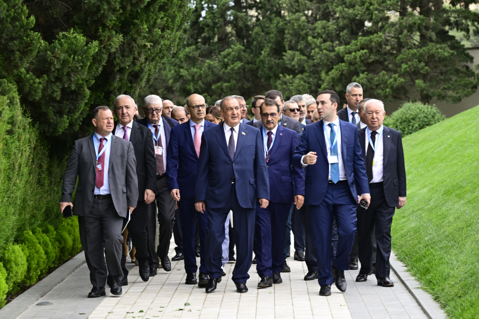 Участники 65-й пленарной сессии ПА ОЧЭС посетили Аллею почетного захоронения в Баку (ФОТО)