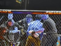 В Баку состоялось одно из самых зрелищных спортивных событий года UFC Fight Night (ФОТО)