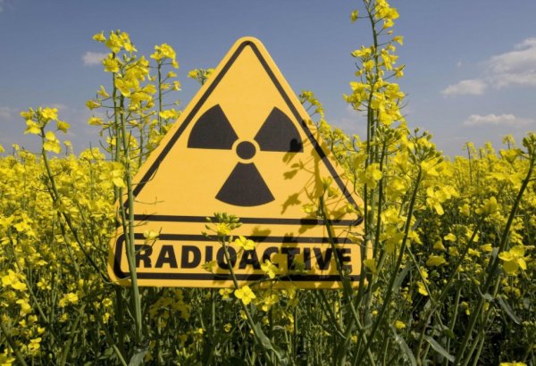 Франция вывозит ядерные отходы в районы, прилегающие к условной границе Армении с Азербайджаном - Коалиция EPF