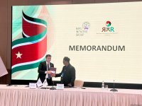 В Баку состоялась международная конференция на тему "К деколонизации Гваделупы! Вызовы и перспективы" (ФОТО)