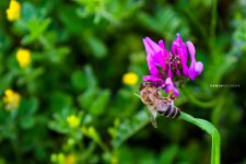 От крепости к крепости – Гедабей: земля исторических памятников (ФОТО)