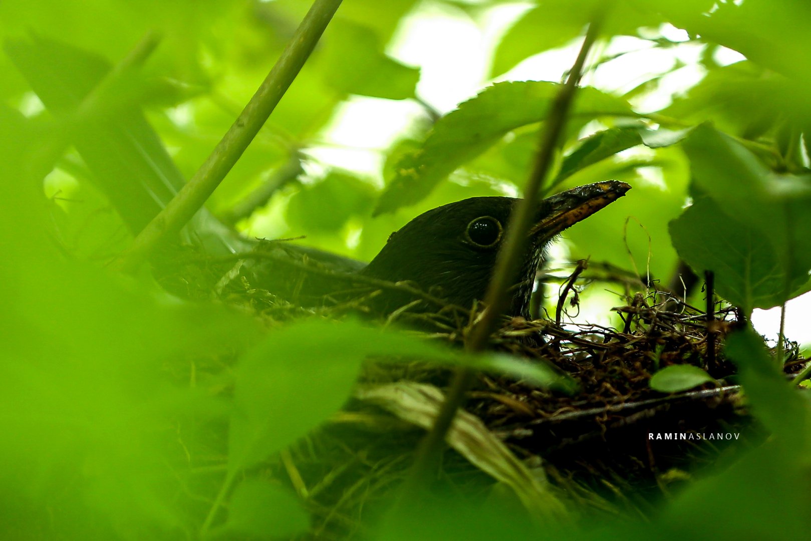 От крепости к крепости – Гедабей: земля исторических памятников (ФОТО)