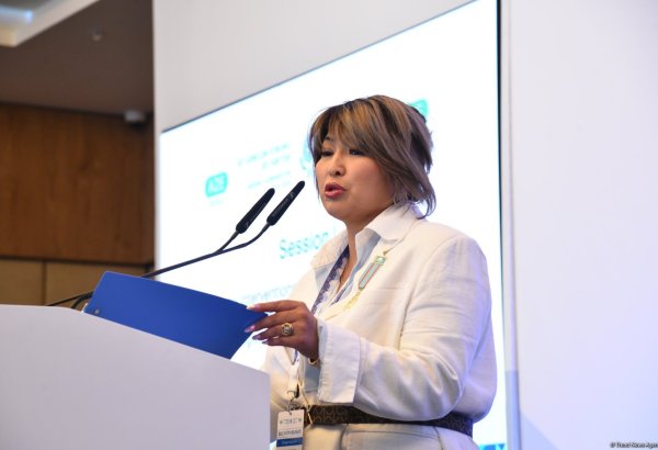 Очень важно, чтобы страны способствовали развитию экономического партнерства среди молодежи - Алмагуль Кутанова