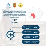 Названо количество мин, обезвреженных на освобожденных территориях Азербайджана в июне (ФОТО)