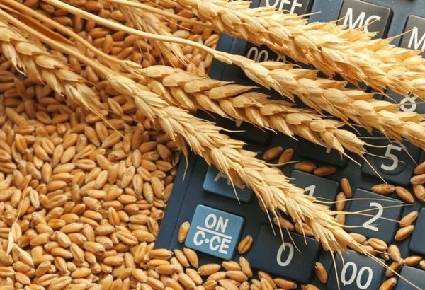 Сократился экспорт пшеницы из Казахстана в Азербайджан