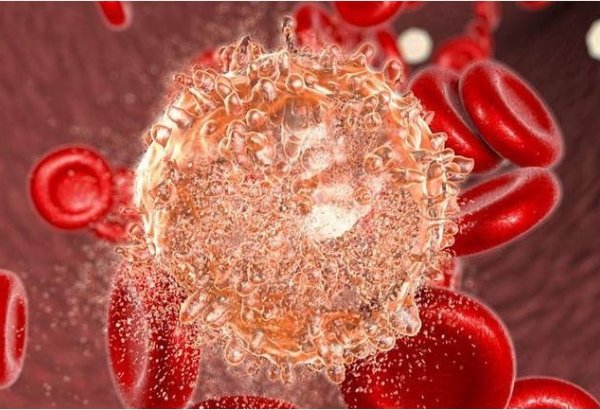 Стало известно число больных талассемией в Азербайджане