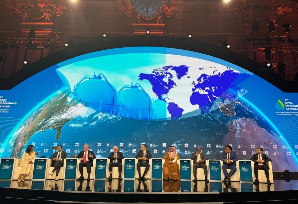 Президент SOCAR принял участие в 9-м международном семинаре ОПЕК в Вене (ФОТО)