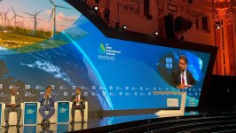Президент SOCAR принял участие в 9-м международном семинаре ОПЕК в Вене (ФОТО)