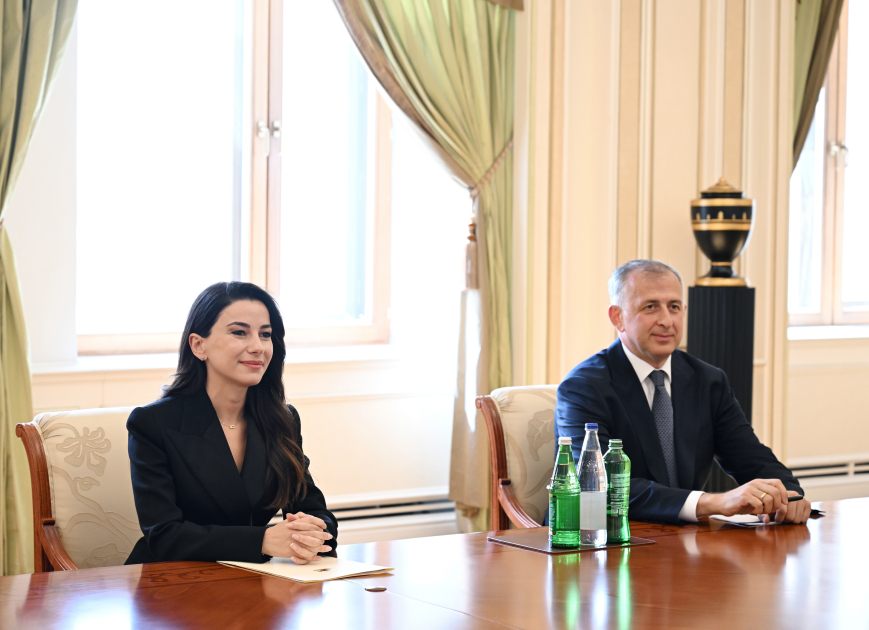 Президент Ильхам Алиев принял министра экономики и устойчивого развития Грузии (ФОТО/ВИДЕО)