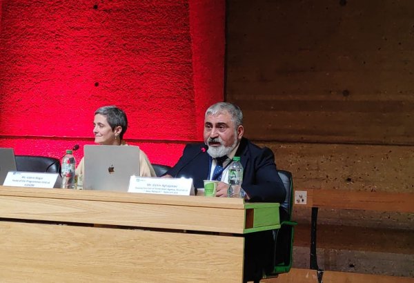 Азербайджанcкие журналисты стали жертвами армянской агрессии в Карабахе - руководитель Baku Network на площадке ЮНЕСКО (ФОТО)