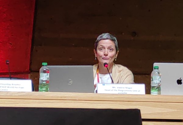 В ICCROM высоко оценили поддержку Азербайджана в повышении осведомленности в сфере сохранения культурного наследия (ВИДЕО)