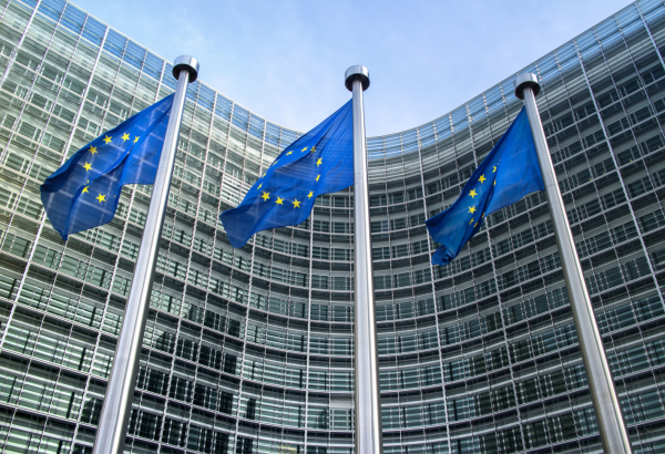 Европарламент назвал сроки рассмотрения соглашения о расширенном партнерстве с Кыргызстаном