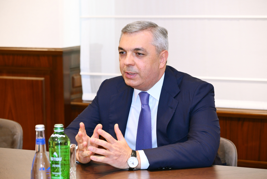 Состоялась встреча руководителя Администрации Президента Азербайджана с делегацией Счетного органа ОАЭ (ФОТО)
