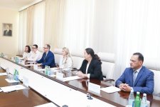 В Минздраве Азербайджана состоялась встреча с миссией компании Pfizer (ФОТО)