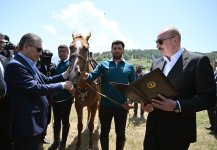 Президент Ильхам Алиев подарил Гурбангулы Бердымухамедову на Джыдыр дюзю карабахского скакуна по кличке "Достлуг" (ФОТО)