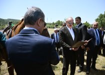 Президент Ильхам Алиев подарил Гурбангулы Бердымухамедову на Джыдыр дюзю карабахского скакуна по кличке "Достлуг" (ФОТО)