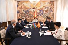 Азербайджан и Северная Македония оценили возможности диверсификации экономического сотрудничества (ФОТО)