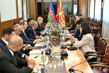 Азербайджан и Северная Македония оценили возможности диверсификации экономического сотрудничества (ФОТО)