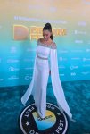 Николь Шерзингер вернулась в Баку с зажигательным шоу на Dream Fest (ФОТО)