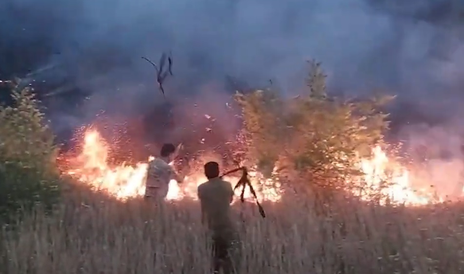 Пожары в горной местности в Ходжалы, Ходжавенде и Шуше ликвидированы (ВИДЕО)