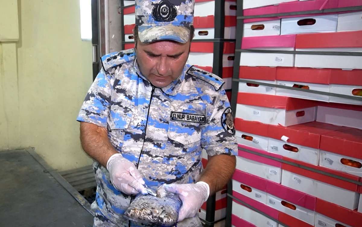 Предотвращен провоз крупной партии наркотиков из Ирана в Азербайджан (ФОТО)