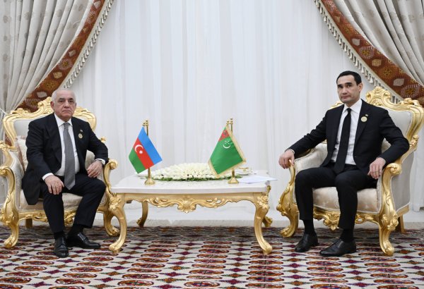 Али Асадов встретился с Президентом Туркменистана