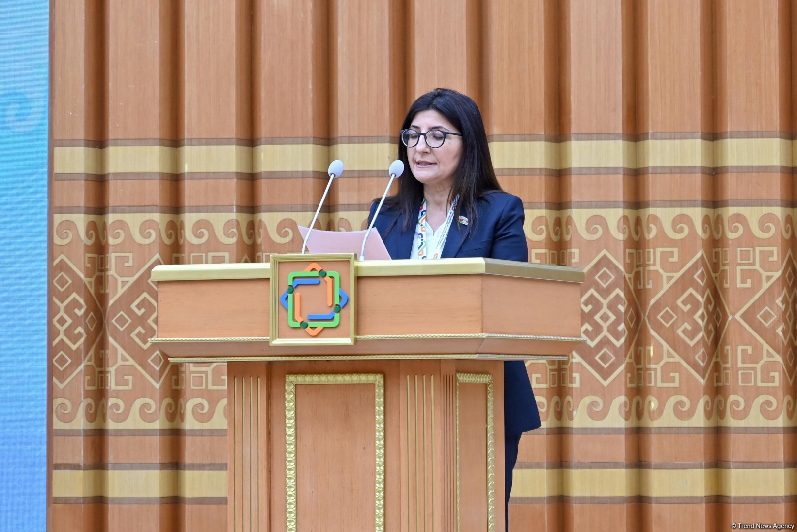 Севиль Микаилова представила доклад от имени Межпарламентского союза IPU на конференции ООН LLDC3 в Авазе (ФОТО/ВИДЕО)