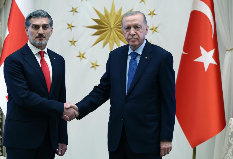 Президент Грузии выразил соболезнования Турции в связи с крушением самолета