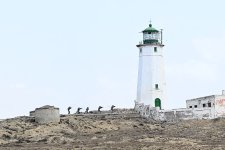 В ВМС Азербайджана проведены тактические учения с боевой стрельбой: Закир Гасанов дал поручения (ФОТО)