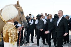 Президенту Азербайджана Ильхаму Алиеву преподнесен в дар ахалтекинский скакун (ФОТО)