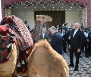 Президенту Азербайджана Ильхаму Алиеву преподнесен в дар ахалтекинский скакун (ФОТО)