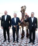 Президенту Азербайджана Ильхаму Алиеву преподнесен в дар ахалтекинский скакун (ФОТО)