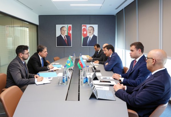 Стала известна дата проведения заседания Межправительственной рабочей группы Азербайджана и Бразилии