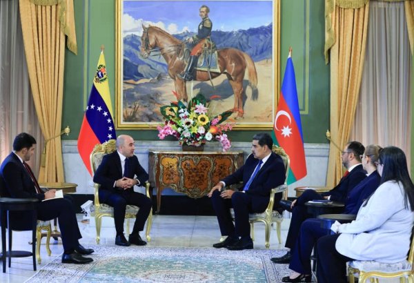 Посол Азербайджана в Венесуэле вручил верительные грамоты Николасу Мадуро