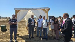 Три новых пляжа открыты на Абшеронском полуострове (ФОТО)
