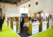 Азербайджанские предприниматели представляют свою продукцию на выставке WorldFood Istanbul 2025 (ФОТО)