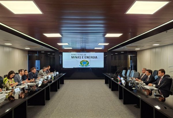 Оценены возможности сотрудничества Азербайджана и Бразилии в горнодобывающей промышленности