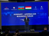 В Будапеште прошел азербайджано-венгерский бизнес-форум (ФОТО)