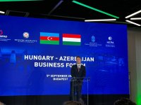В Будапеште прошел азербайджано-венгерский бизнес-форум (ФОТО)