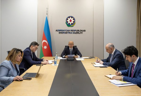 Состоялось первое заседание правления Центра чистой энергии ОЭС (ФОТО)