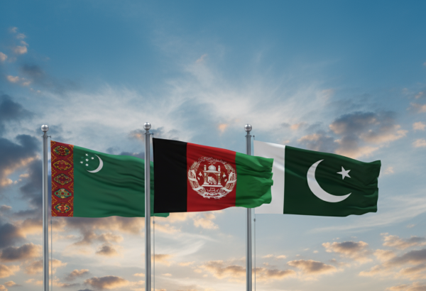 Энергетическая дипломатия Ашхабада - перспективы коридора ТАП для Южной Азии