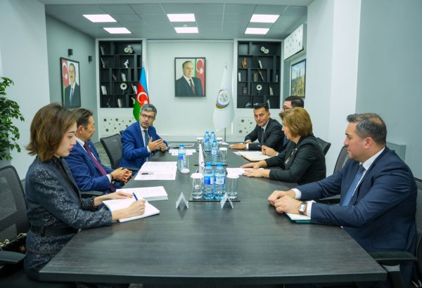 Бахар Мурадова провела обсуждения с генеральным секретарем СВМДА