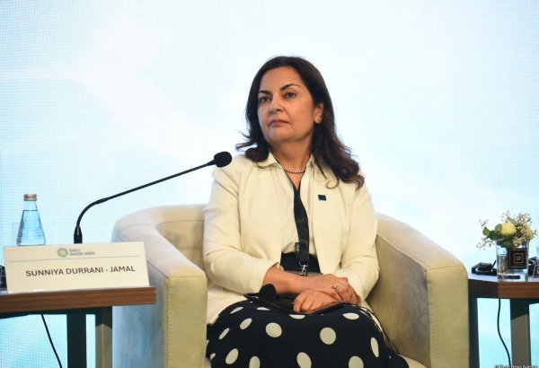 АБР проявляет большой интерес к инвестициям в Нахчыван - страновый директор