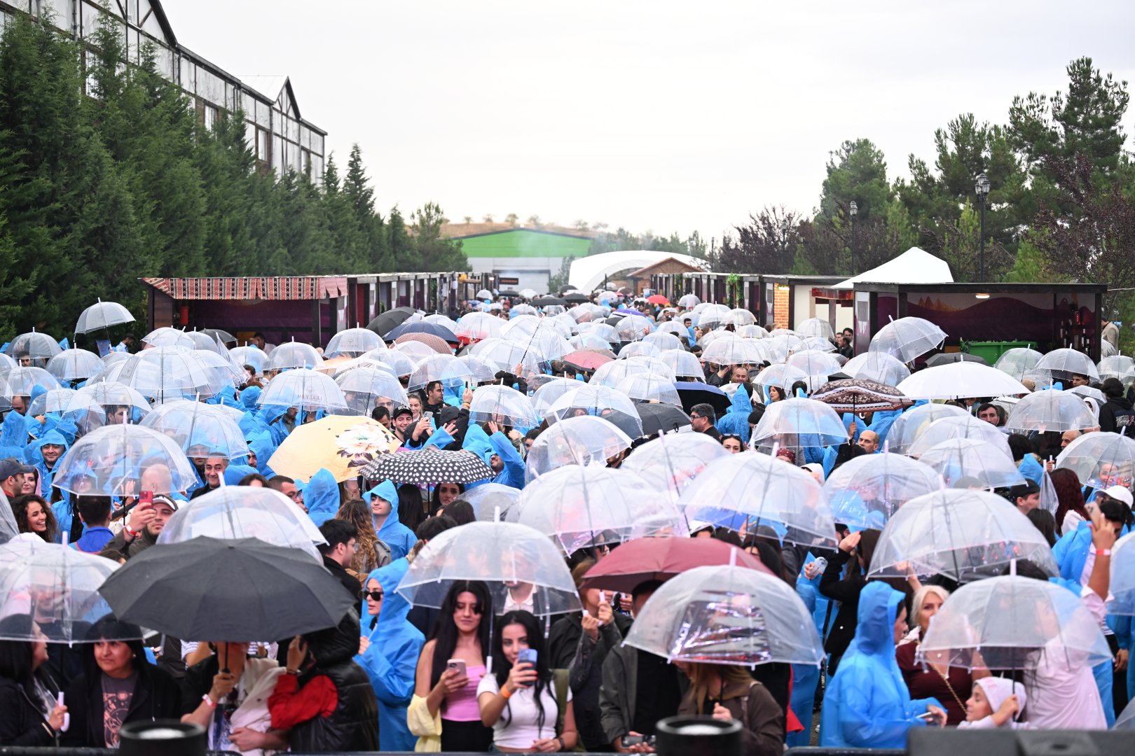 В Шамахы состоялось открытие очередного Фестиваля винограда и вина (ФОТО)