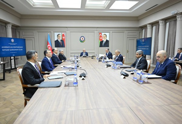 Состоялось очередное заседание Экономического совета Азербайджана (ФОТО)