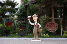 В Шамахы стартует Фестиваль винограда и вина (ФОТО)