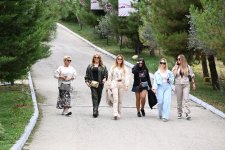 В Шамахы стартует Фестиваль винограда и вина (ФОТО)