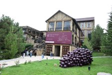 В Шамахы стартует Фестиваль винограда и вина (ФОТО)