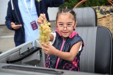 В Шамахы состоялось открытие очередного Фестиваля винограда и вина (ФОТО)